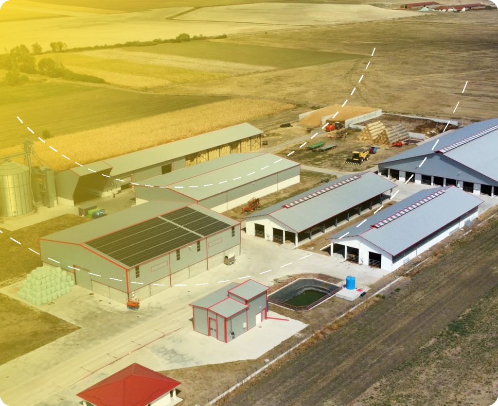 Adăpost îngrășare bovine Bulls Man – Căuaș – proiect de structură Prorezis Studio