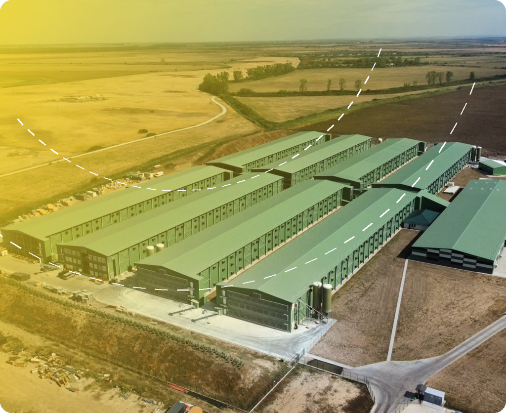 Ferma de găini ouătoare OdT3 Mădăraș, hale proiectate de Prorezis Studio