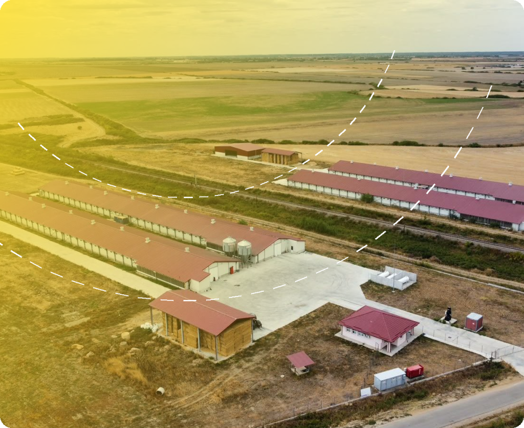Fermă pui de carne Pig Prod Farm – Ciumeghiu – proiect de structură Prorezis Studio