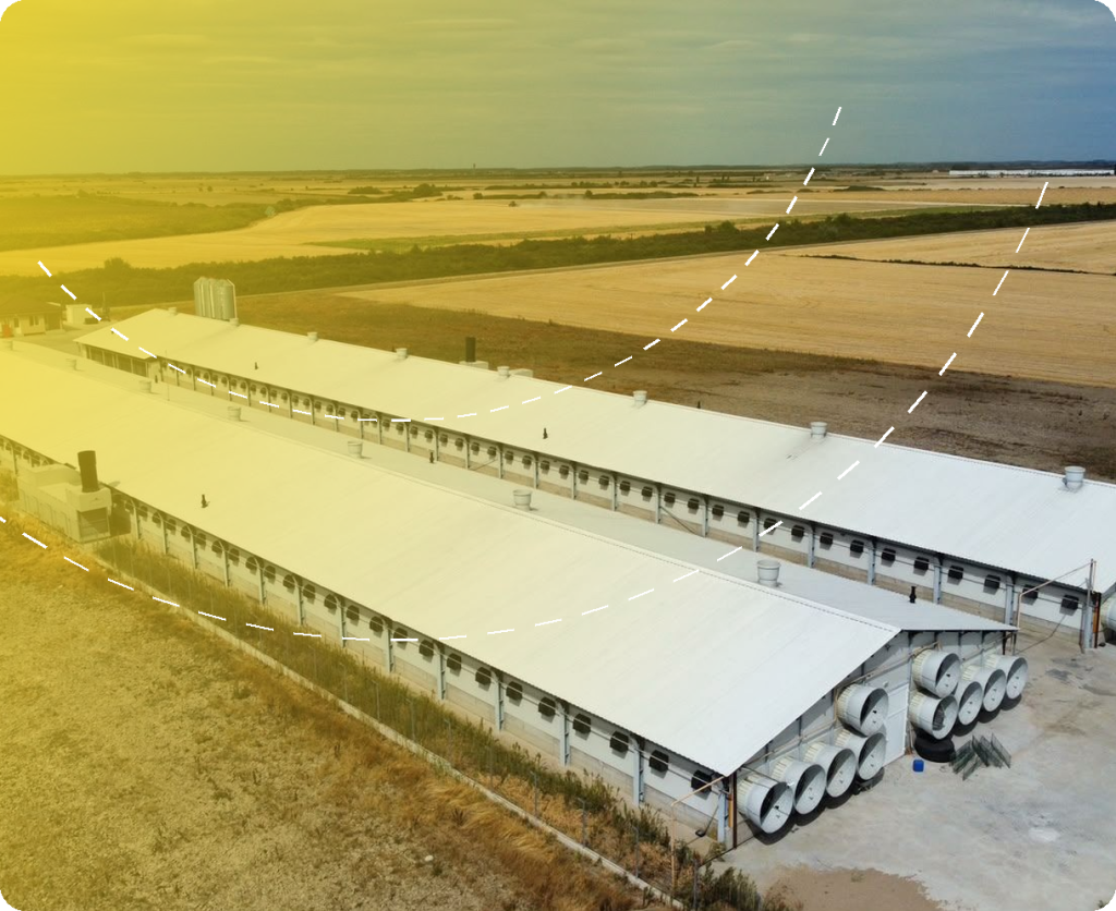 Fermă pui de carne Aviafarm Invest – Ciumeghiu – proiect de structură Prorezis Studio