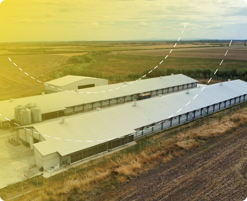 Fermă de creștere pui de carne Ramanisal – Avram Iancu – proiect de structură Prorezis Studio