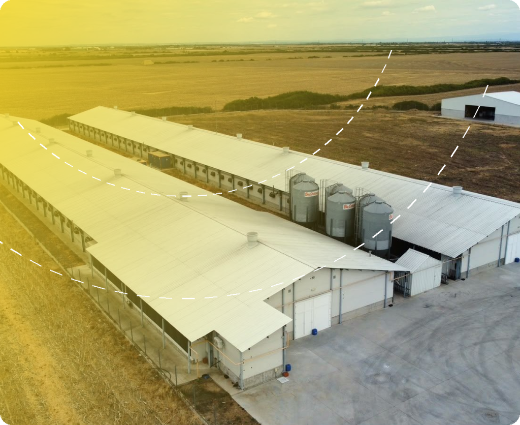 Fermă pui de carne Razvi Farm – Ciumeghiu – proiect de structură Prorezis Studio