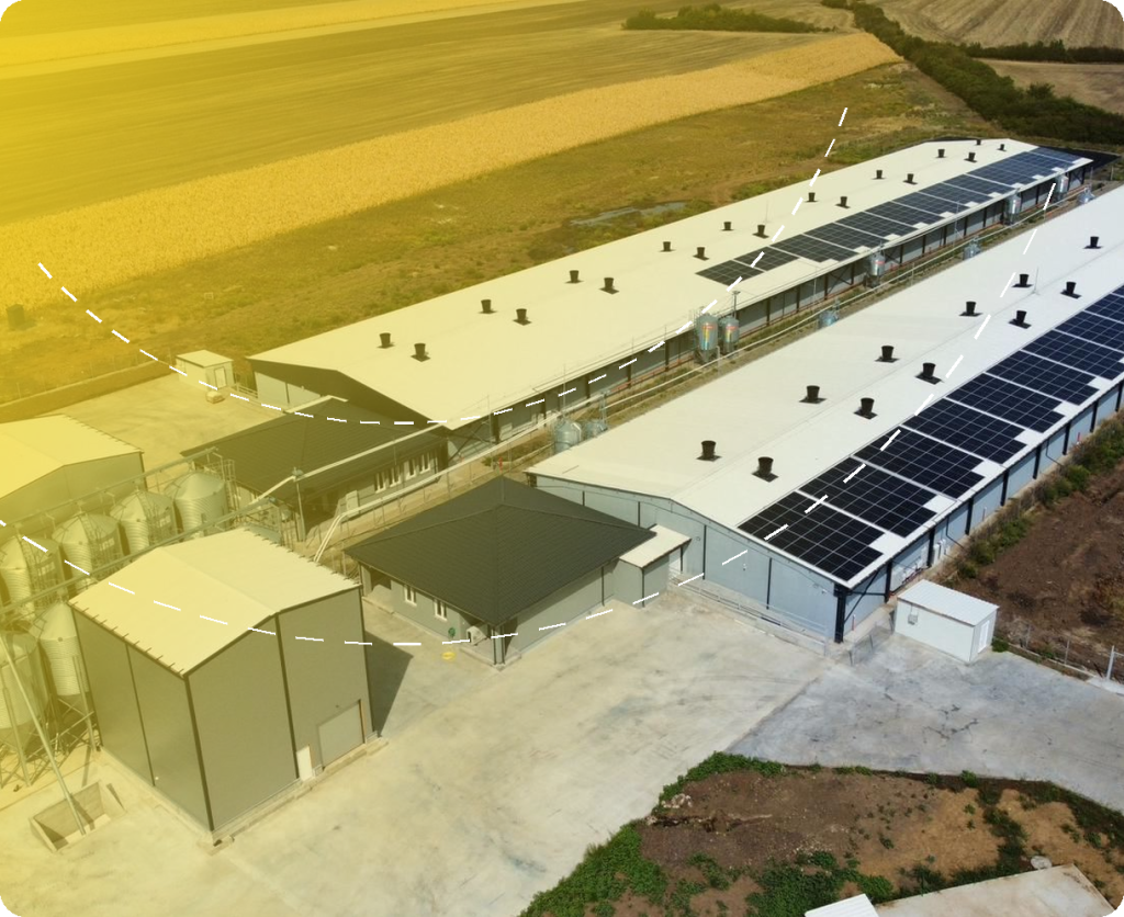 Ferme de reproducție suine Artefarm Group și Homi Food – Cămin – proiect de structură Prorezis Studio