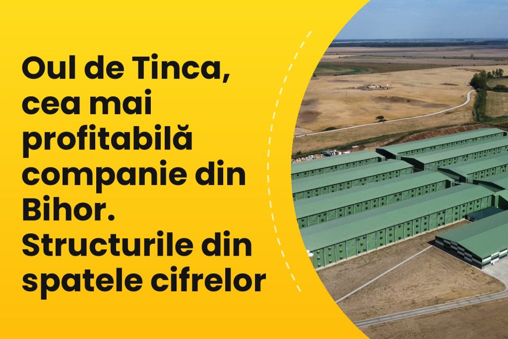 Fermele de găini ouătoare Oul de Tinca, cu structura de rezistență proiectată de Prorezis Studio