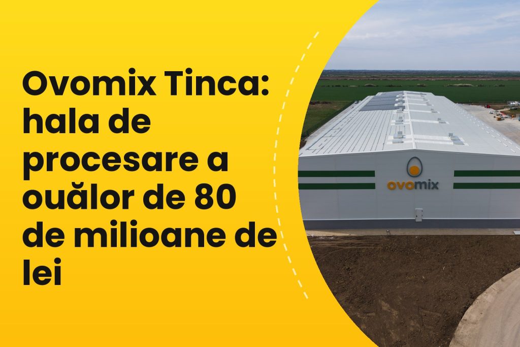 Hala de procesare și depozitare ouă Ovomix din Tinca, structură proiectată de Prorezis Studio